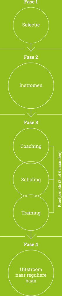 Schema